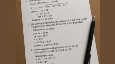 8.3 Independent Practice Page 221 Answer Key