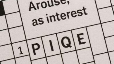 Arouse as Interest NYT