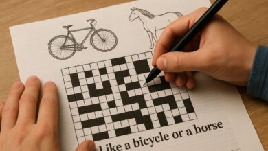 like a bicycle or a horse crossword