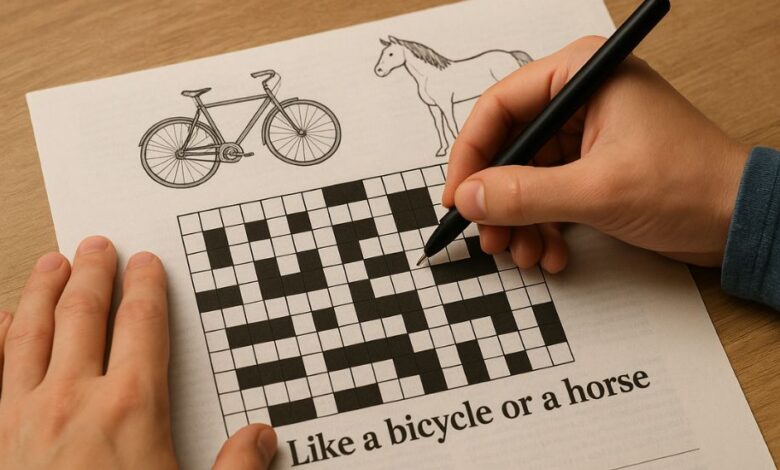 like a bicycle or a horse crossword