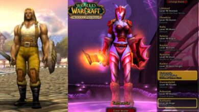 wow character lookup