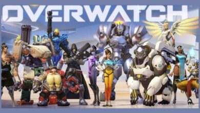 overwatch year of the dog